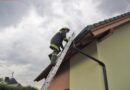 Oö: Tierrettung: Vögel in Dachrinne gefangen