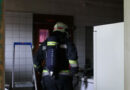 Oö: Küchenbrand in Welser Chinarestaurant