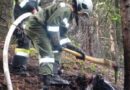 T: Kleiner Flächenbrand neben der Achenseebahntrasse