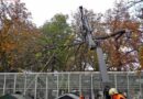 Nö: Zahlreiche Sturmeinsätze im Bezirk Baden
