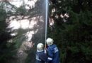 Stmk: Blitzschlag löst einen Waldbrand aus