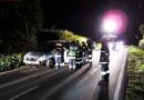 Nö: Reh ausgewichen -> Fahrzeug überschlug sich
