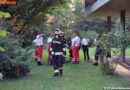 Nö: Häufung von kuriosen Einsätzen in Maria Enzersdorf