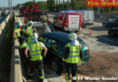 Nö: Baum in Wiener Neudorf auf Auto gestürzt