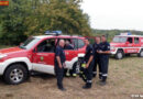 Nö: Brand von mehreren Baumstämmen