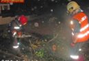 Nö: Sturmschaden in Großweikersdorf -> Ast blockierte Straße