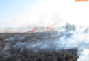 Bgld: Flurbrand im Nationalpark Neusiedlersee-Seewinkel