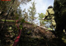 Oö: 11 Feuerwehren in Kleinreifling (Weyer) im Waldbrandeinsatz