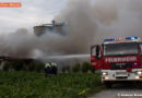 Nö: 1.000 Mastschweine bei Brand in Sommerrein verendet