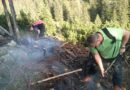 Stmk: Waldbrand auf der Fobisalm