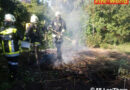 Nö: Holzhaufen in Laa an der Thaya in Brand geraten