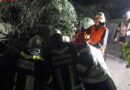 Oö: Übung -> Pkw-Lenker bei Unfall gepfählt