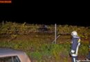 Nö: Menschenrettung in den Weingärten nach Verkehrsunfall