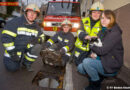 Nö: Abenteuerlustiger Kater in Kanalnetz hält Feuerwehr auf Trab -> Gerettet!