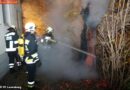 Nö: Brennender Baum in Laxenburg