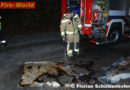 Nö: Glimpflicher Ausgang eines Zimmerbrandes in Mödling