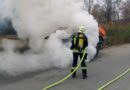 Bgld: Müllcontainer in Vollbrand