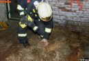 Oö: Brand in einem ehemaliger Reitstall