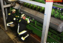 Stmk: Massive Rauchentwicklung im Fernheizkraftwerk in Knittelfeld