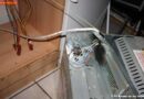 Nö:Küchenbrand rechtzeitig verhindert