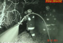 Nö: Feuerwehr Maria Ellend bei Flurbrand im Einsatz