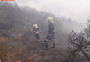 Sbg: Latschenbrand am Gamsfeld auf 2.000 m Seehöhe