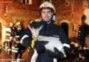 Oö: Bauernhausgroßbrand in Bachmanning -> Viele Tiere gerettet