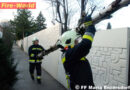Nö: Sturm- und Unfall-Einsatz in Maria Enzersdorf