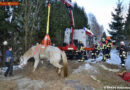 Oö: Feuerwehr rettet Pferd nach Sturz auf eisigem Boden