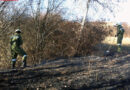Bgld: 500m² Wiese in Brand geraten