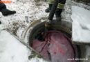 Oö: Mehrere Hundert Liter Heizöl ausgetreten