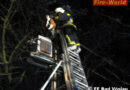 Nö: Feuerwehr holt Katze von 7m hohen Strommasten in Bad Vöslau