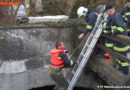 Nö: Feuerwehr rettet Katze aus Bach