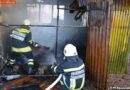 Nö: Hütte bei Brand in einem Wald zerstört