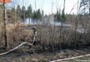 Oö: 6000m² Wiese in Gunskirchen abgebrannt