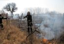 Bgld: 1.000m² Wiese und Schilf in Brand geraten