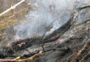 Nö: Waldbrand rasch unter Kontrolle gebracht