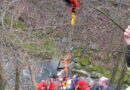 Oö: Personenrettung aus der Krems in Micheldorf