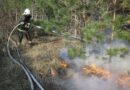 Nö: Zwei Stunden Einsatz bei Waldbrand neben der Südautobahn