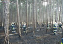 Nö: Mit Güllefässern Waldbrandeinsatz in Markt Piesting unterstützt