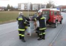 Nö: Mopedbergung nach tödlichen Unfall