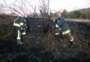 Nö: Flurbrand neben einem Campingplatz