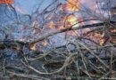 Nö: Brand eines Kompost- und Holzhaufen