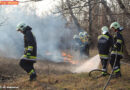 Nö: Wiesenbrand in Sollenau