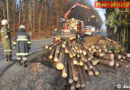Stmk: Rundholz-Ladung unfreiwillig abgekippt