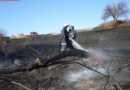 Bgld: Großflächiger  Flurbrand zwischen Wiesen und Forchtenstein