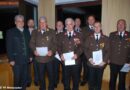 Oö: Wespen sorgen für ein bewegtes Einsatzjahr 2011 in Altmünster