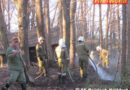 Stmk: Waldbrand auf rund 400 m2 in Bairisch-Kölldorf