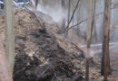 Stmk: Waldbrand in Hollenegg