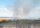 Bgld: Zwei Feuerwehren im Kampf gegen 30.000m² Schilfbrand